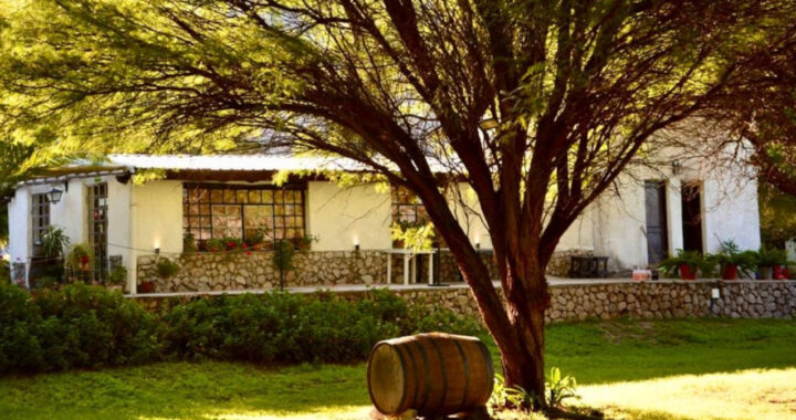 Torrontés con raíz, la Ruta del Vino Riojano como viaje sensorial, productivo y afectivo