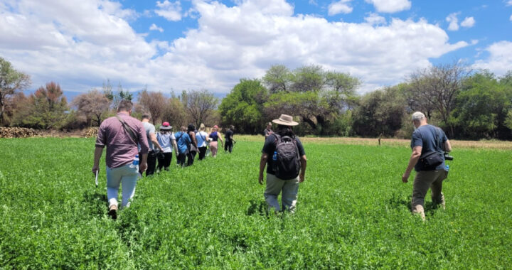 Red de Turismo Campesino: cuando el turismo es sembrar vínculos