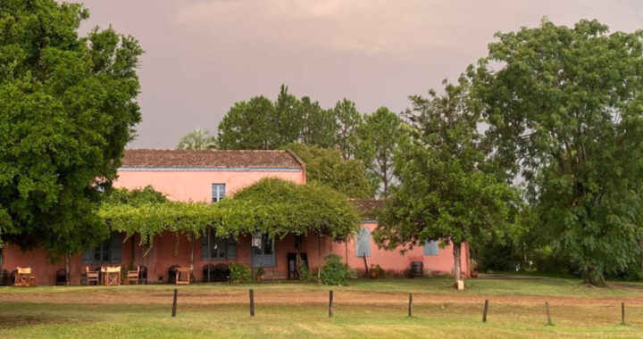 Entre viñedos y memorias: el renacer del vino entrerriano en la Bodega Vulliez-Sermet