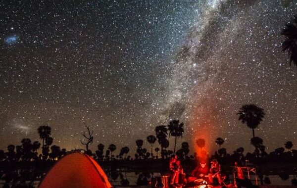 Bañado La Estrella: naturaleza que te deja sin palabras (y con ganas de volver)