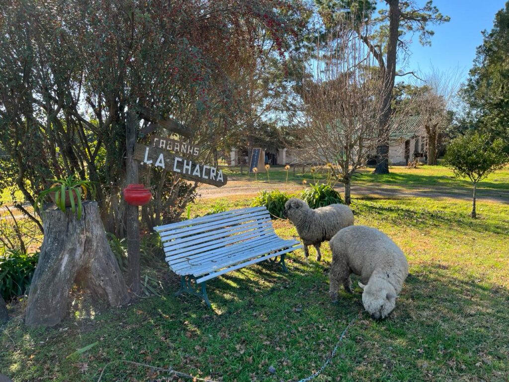 La Chacra Hotel de Campo y Spa: descanso y naturaleza en San Pedro